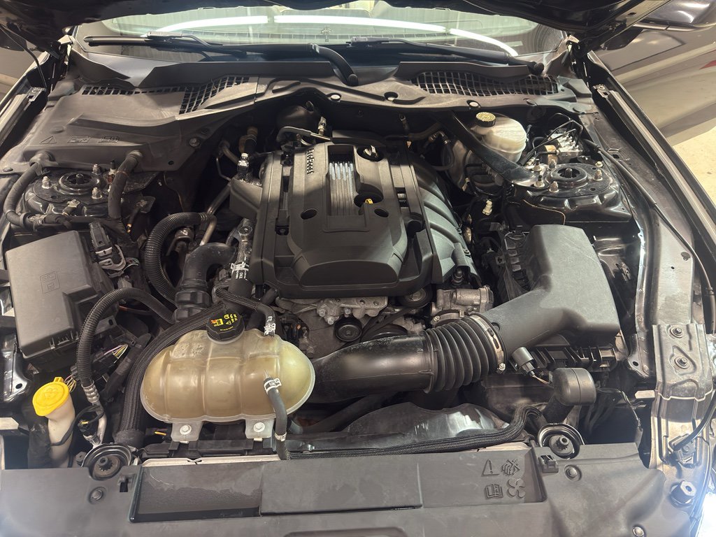 Used 2019 Ford Mustang Premium image 25