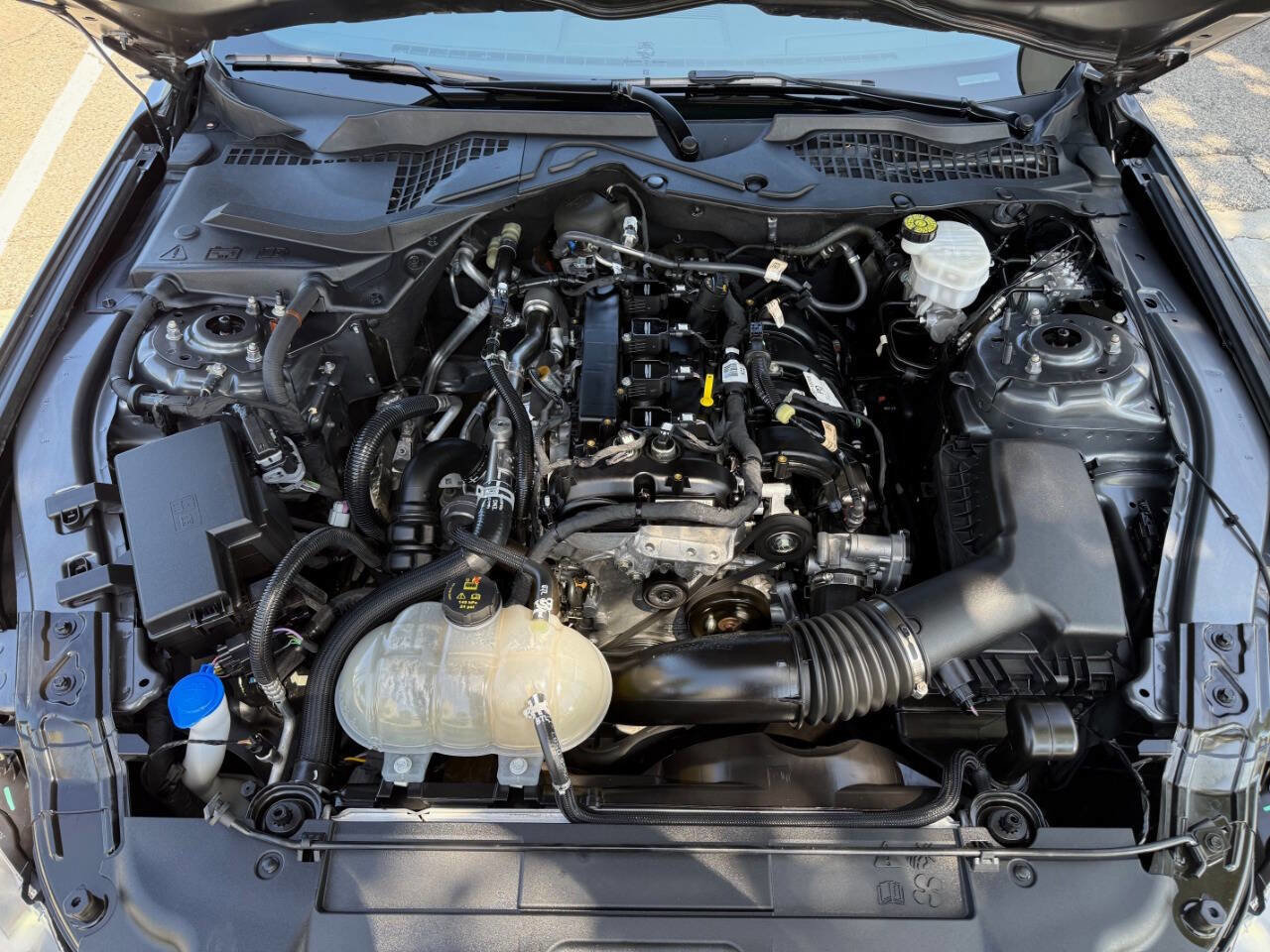 Used 2023 Ford Mustang Coupe RWD image 43