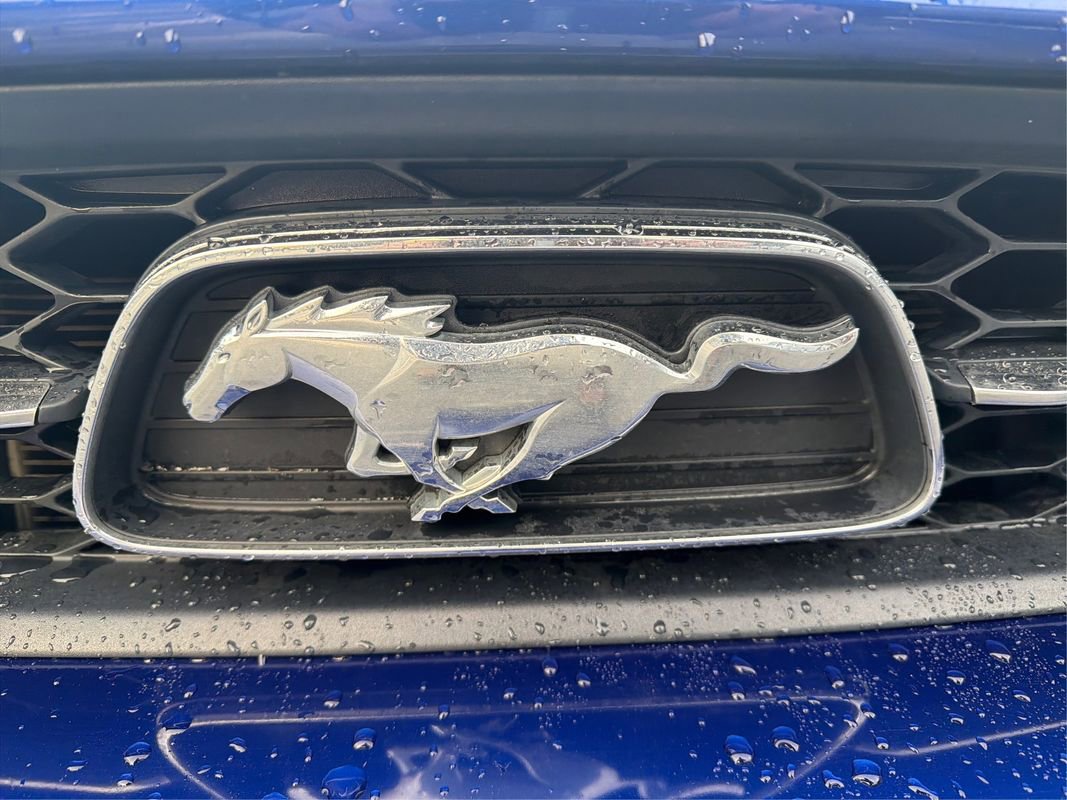 Used 2014 Ford Mustang Premium w/ Equipment Group 202A image 38