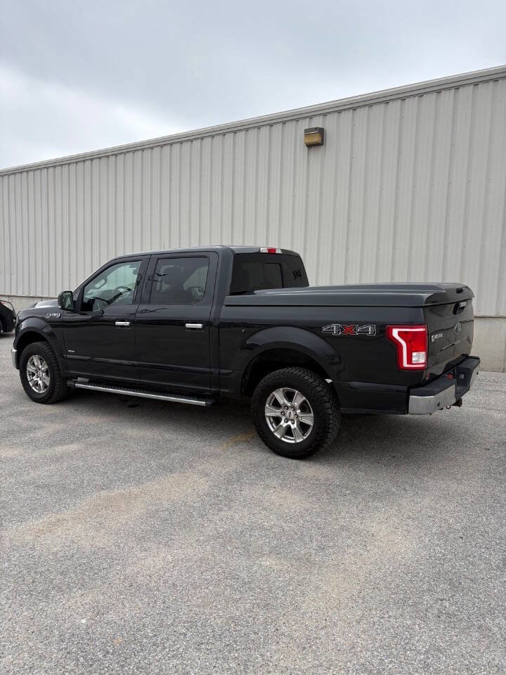 Used 2015 Ford F150 XLT w/ Equipment Group 302A Luxury image 5