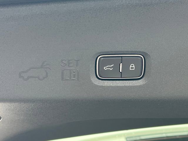 New 2026 Ford Expedition Active image 5
