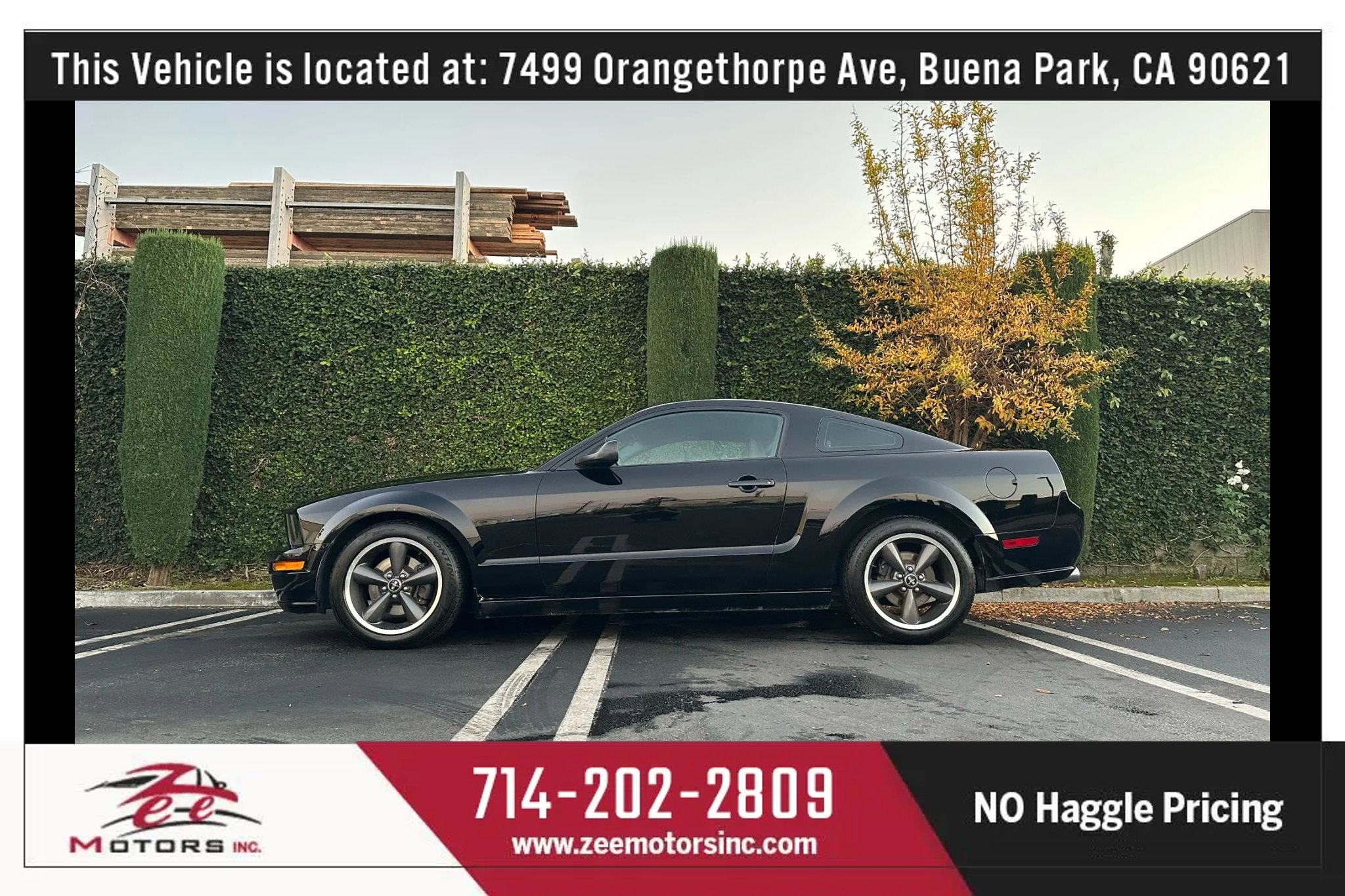 Used 2009 Ford Mustang GT Premium image 11