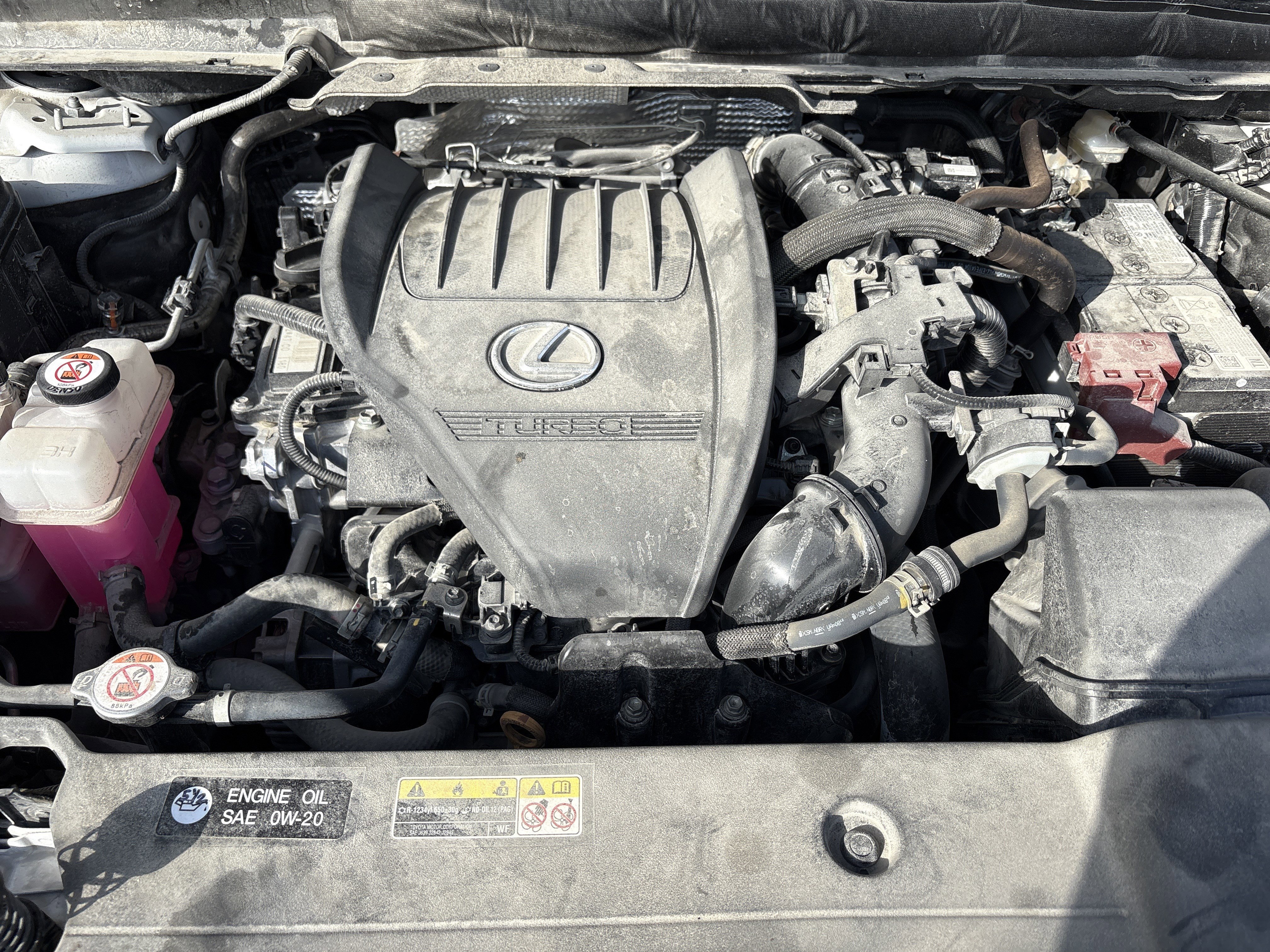 Used 2024 Lexus RX 350 Premium Plus image 34