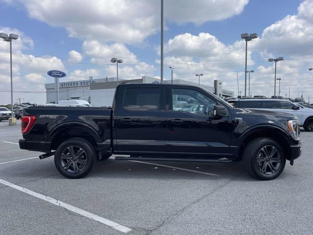 Used 2023 Ford F150 XLT w/ Equipment Group 302A High image 2
