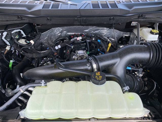 New 2025 Ford F150 XLT w/ Equipment Group 302A MID image 14