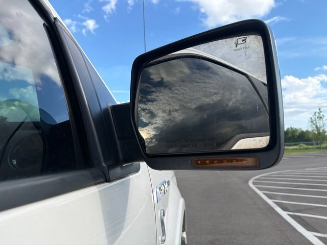 Used 2010 Ford F150 Platinum AWD/4WD image 7