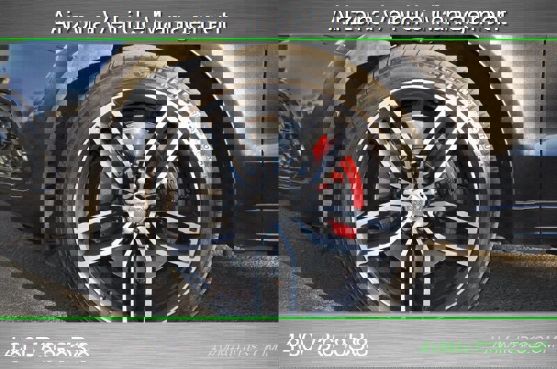 Used 2017 Audi SQ5 Premium Plus w/ Technology Package image 13