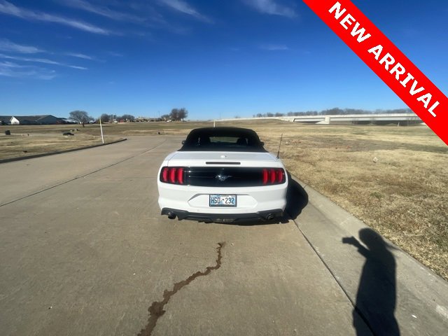 Used 2019 Ford Mustang Premium image 6
