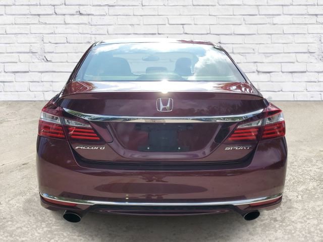 Used 2017 Honda Accord Sport image 3