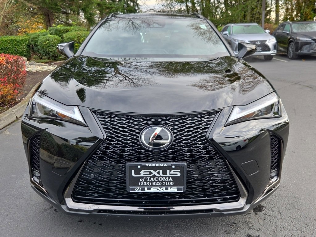 New 2025 Lexus UX 300h AWD image 9