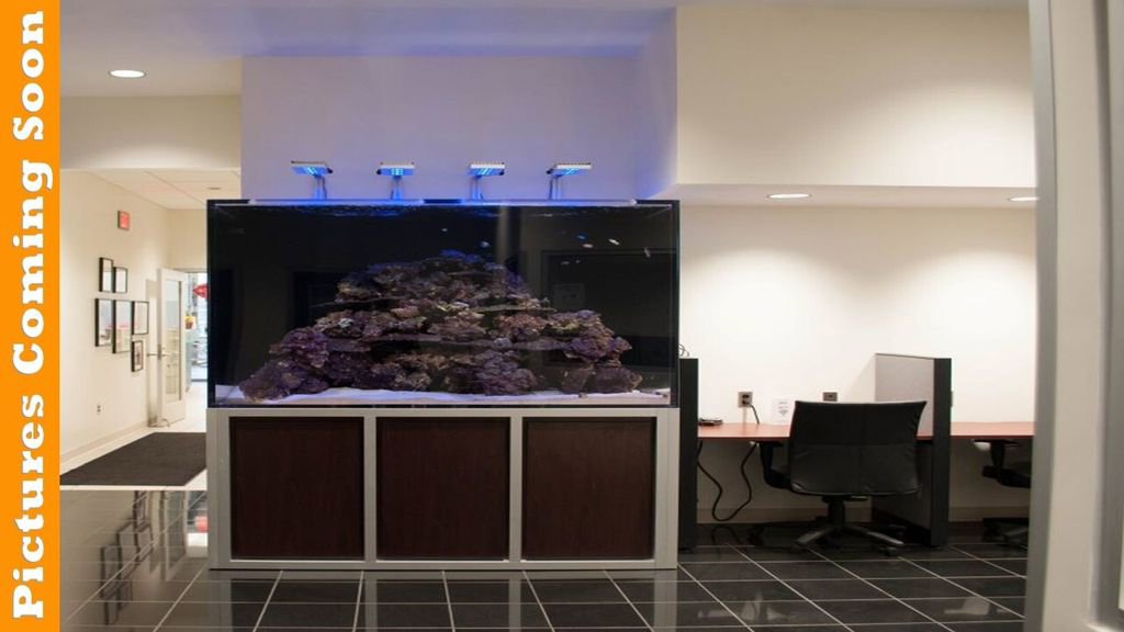 Used 2021 Ford Explorer ST w/ ST Street Pack image 15