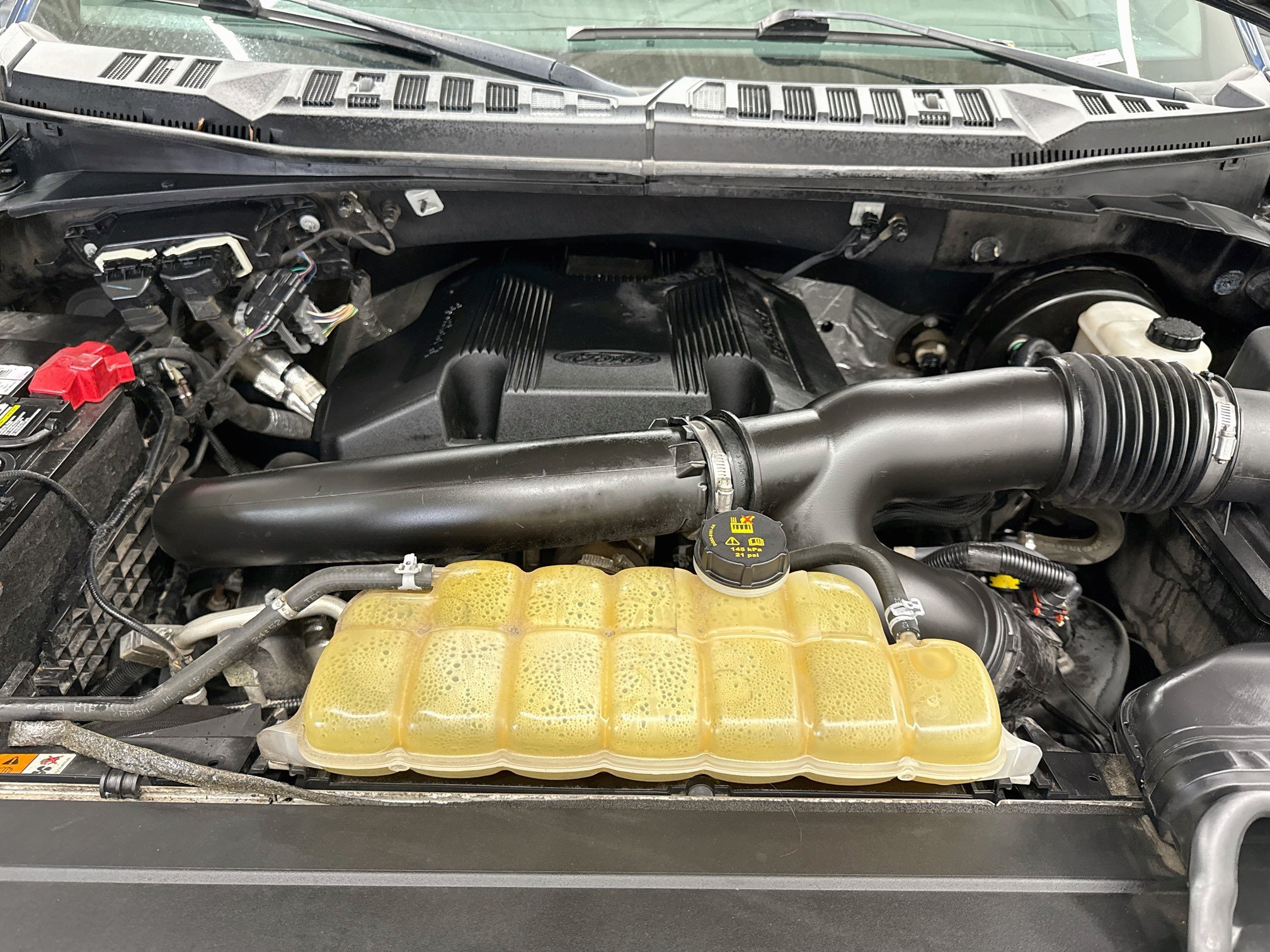 Used 2019 Ford F150 XLT w/ Equipment Group 302A Luxury RWD image 30