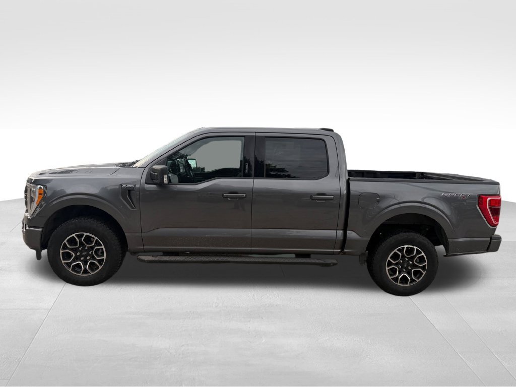 Used 2023 Ford F150 XLT w/ Equipment Group 302A High AWD/4WD image 7