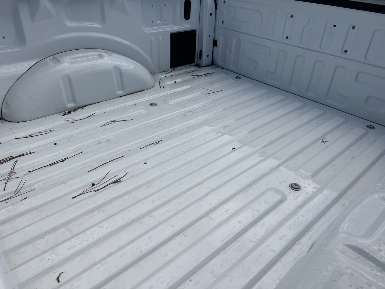 New 2026 Ford F150 XLT RWD image 18