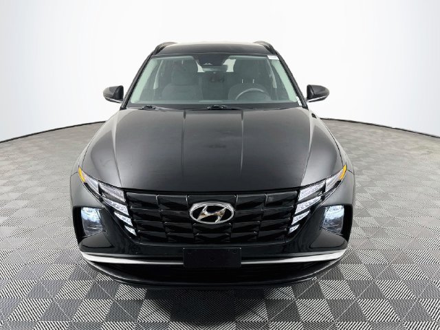 Used 2024 Hyundai Tucson Blue AWD/4WD image 2