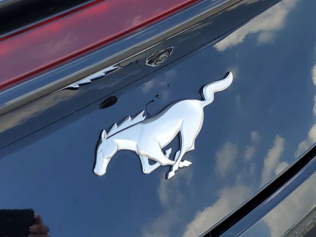 Used 2025 Ford Mustang Premium RWD image 30