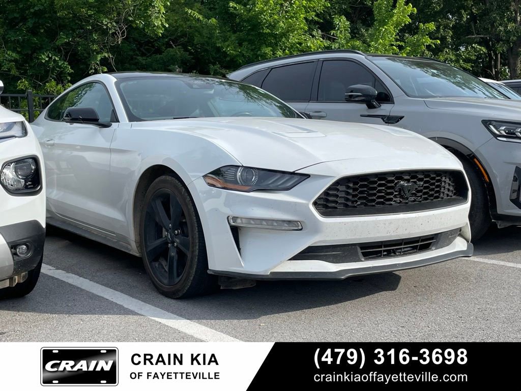 Used 2023 Ford Mustang Premium w/ Mustang Nite Pony Package RWD image 1