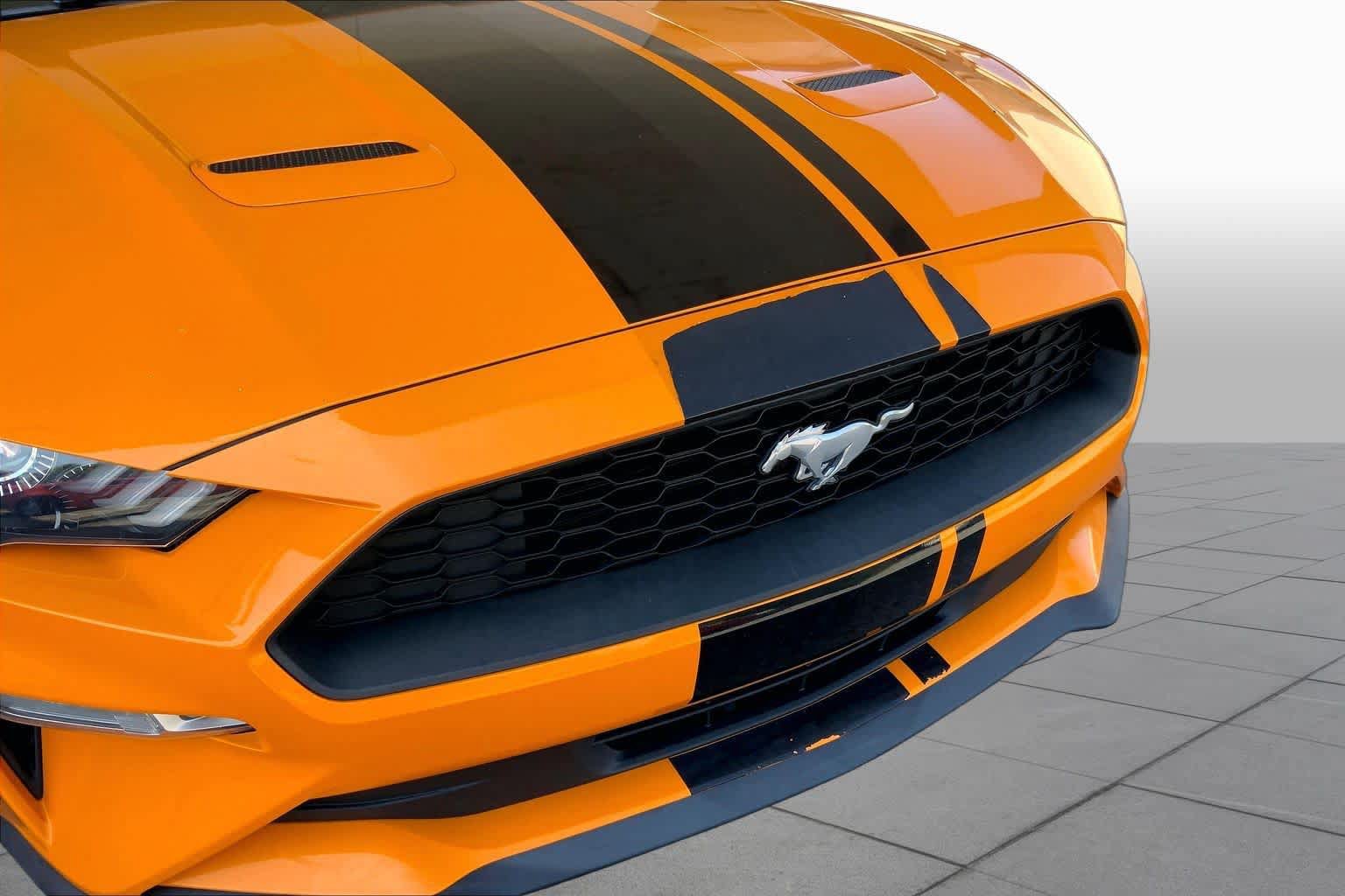 Used 2019 Ford Mustang Premium w/ Equipment Group 201A RWD image 31