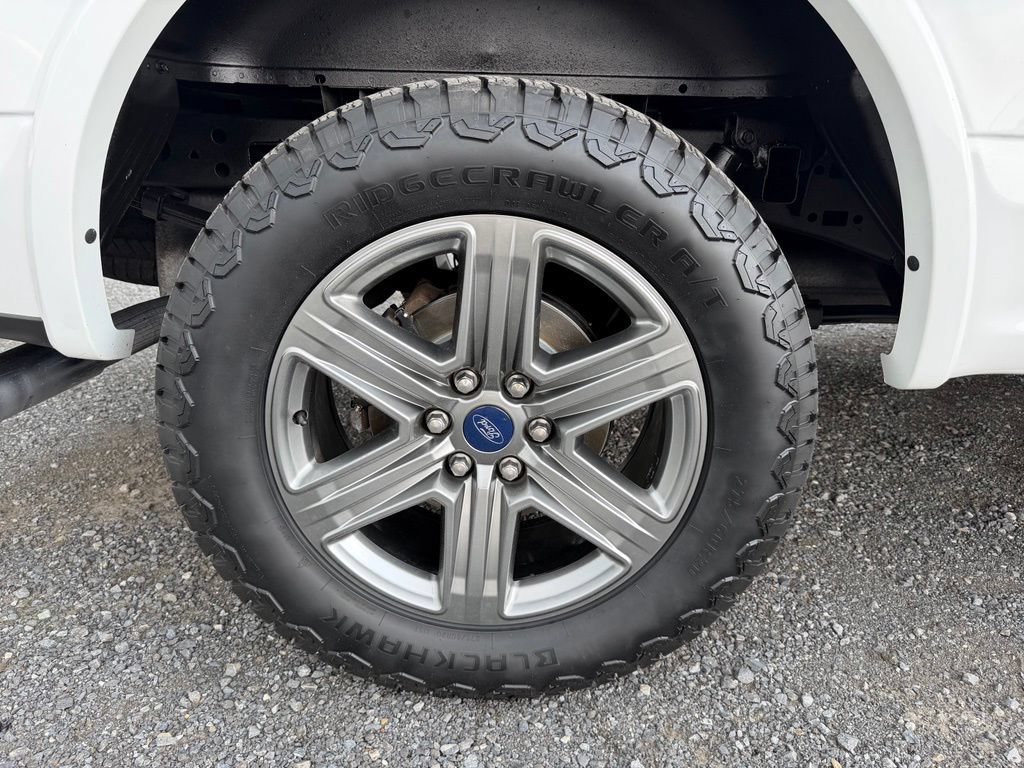 Used 2019 Ford F150 XLT w/ Equipment Group 302A Luxury AWD/4WD image 20