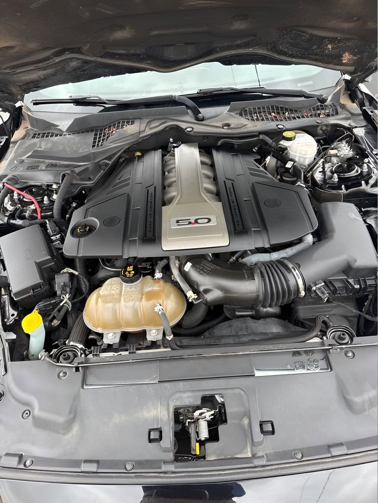 Used 2019 Ford Mustang GT w/ Black Accent Package RWD image 10