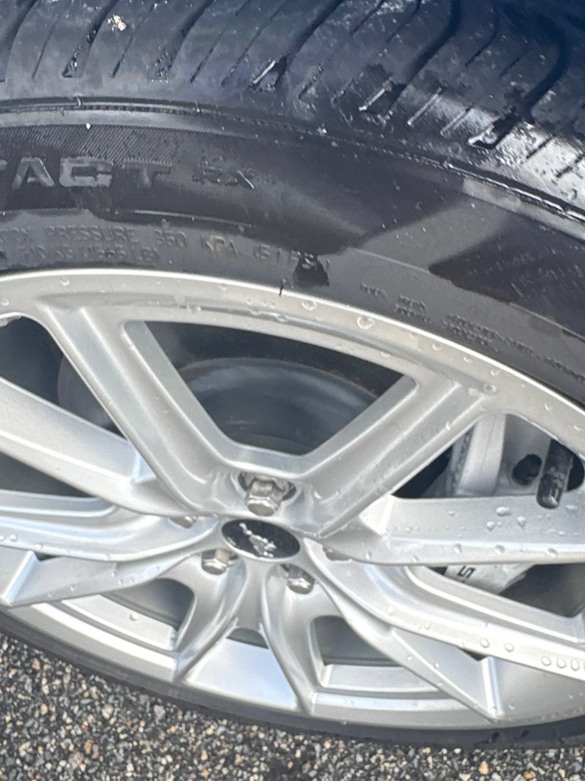 Used 2024 Ford Mustang GT RWD image 12