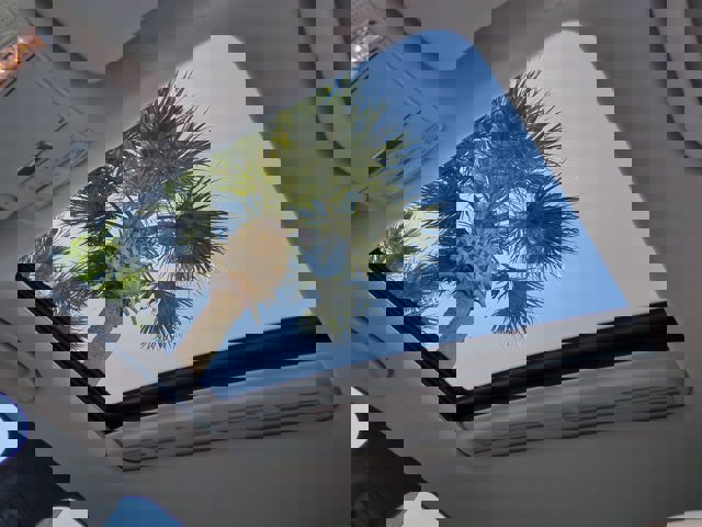 Certified 2017 Mercedes-Benz E 300 image 19