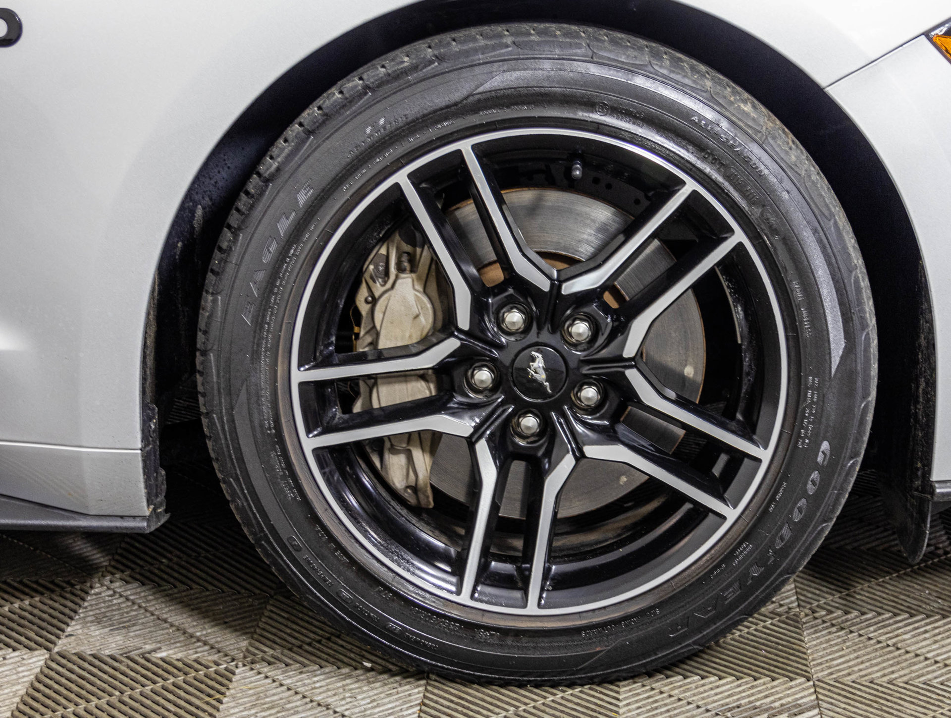 Used 2019 Ford Mustang GT Premium RWD image 48