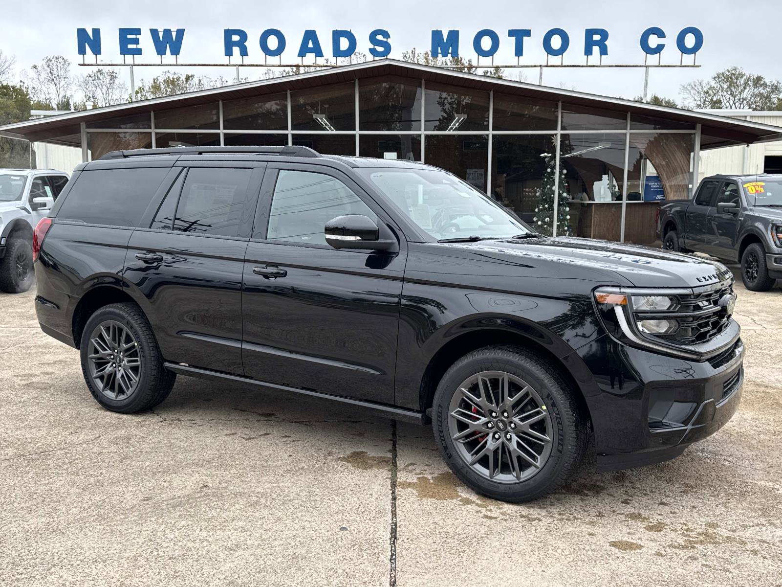 New 2025 Ford Expedition Platinum w/ Stealth Performance Package image 1