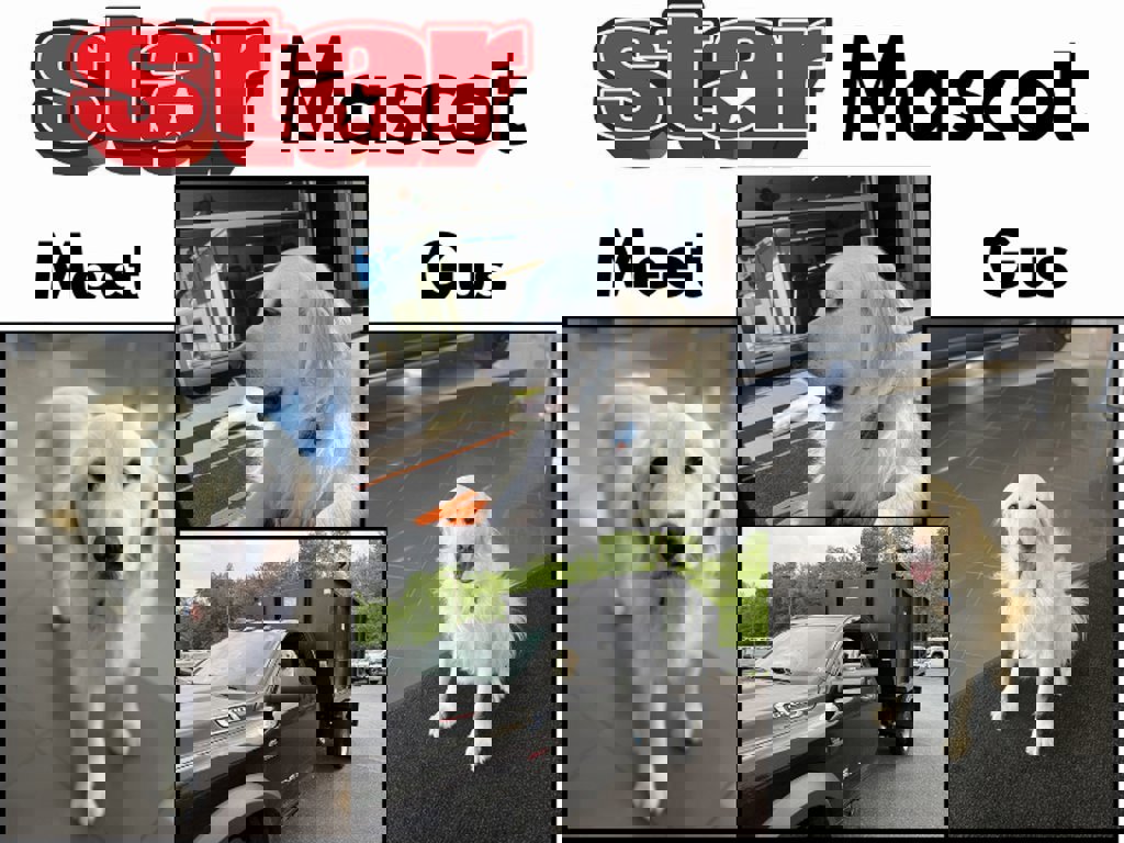 New 2026 GMC Sierra EV Elevation image 20