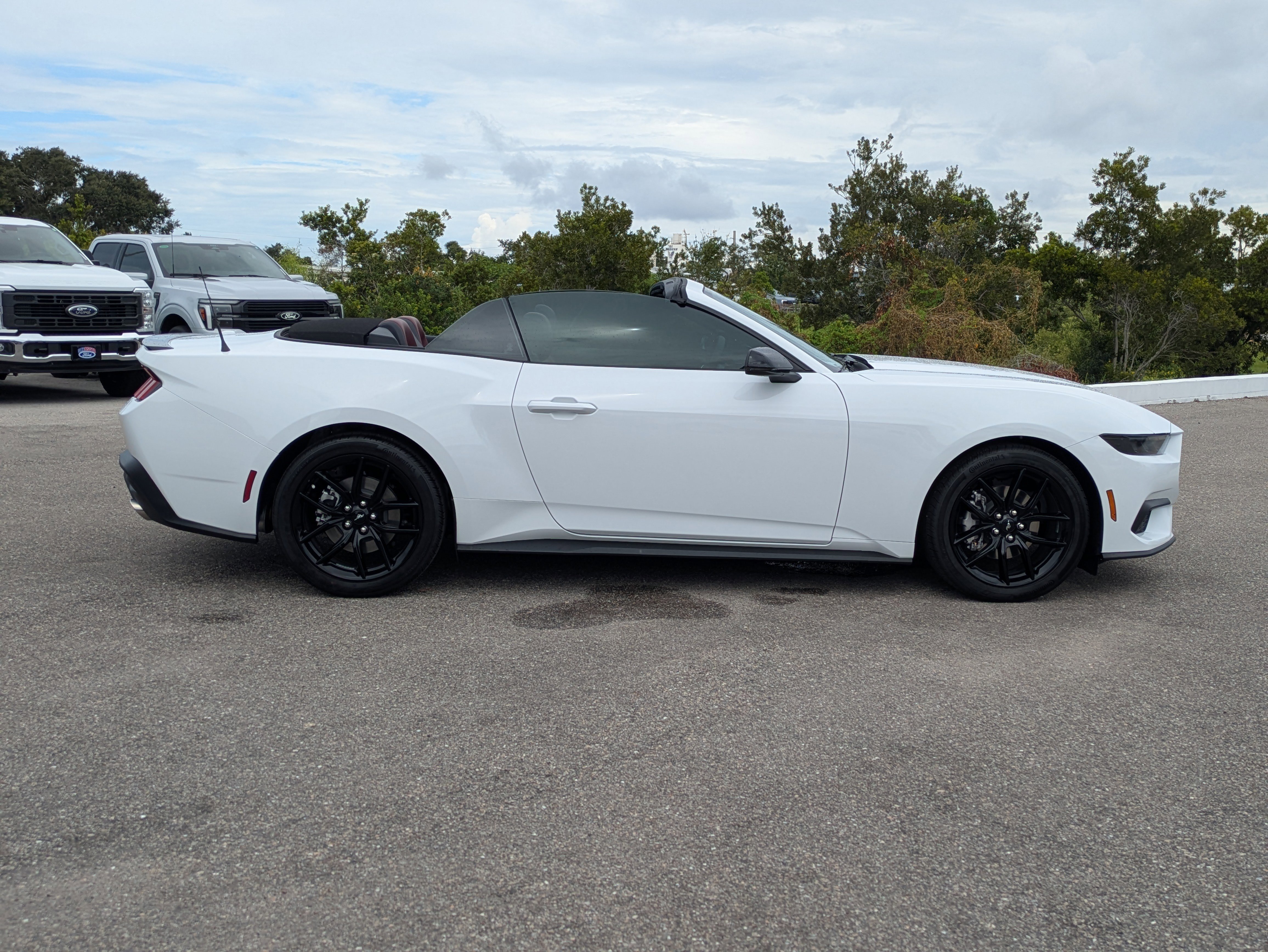 New 2025 Ford Mustang Premium video 3