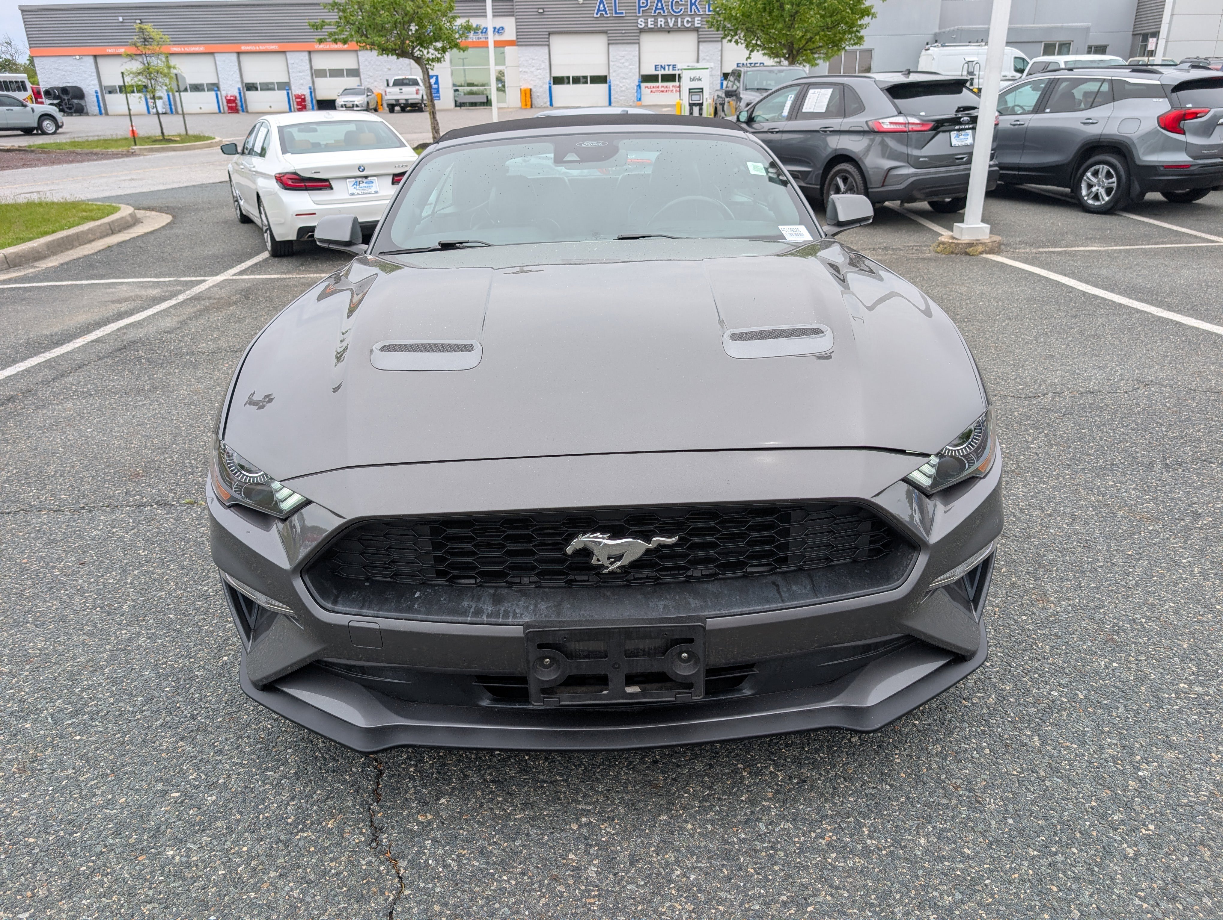 Used 2023 Ford Mustang Premium RWD image 8