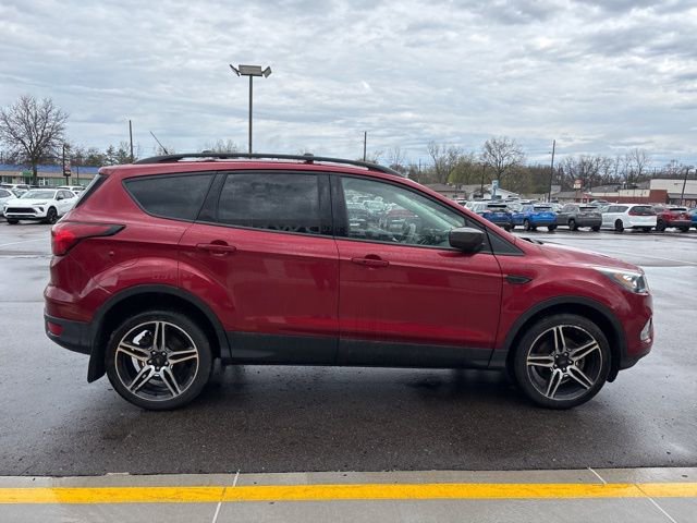 Used 2019 Ford Escape SEL image 5