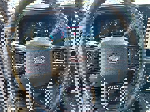 New 2026 Ford F250 Platinum image 22