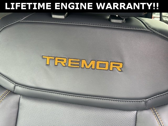 New 2025 Ford Expedition Tremor image 37