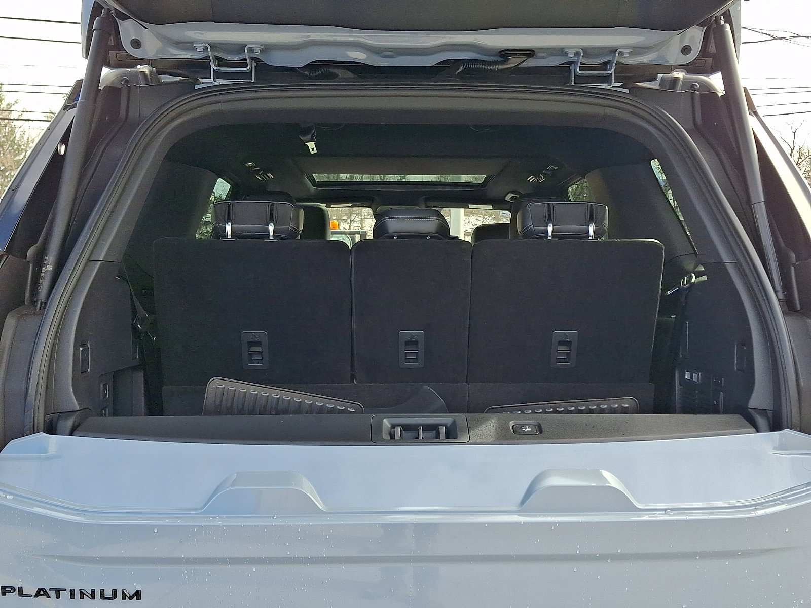 Used 2025 Ford Expedition Platinum w/ Stealth Appearance Package image 28