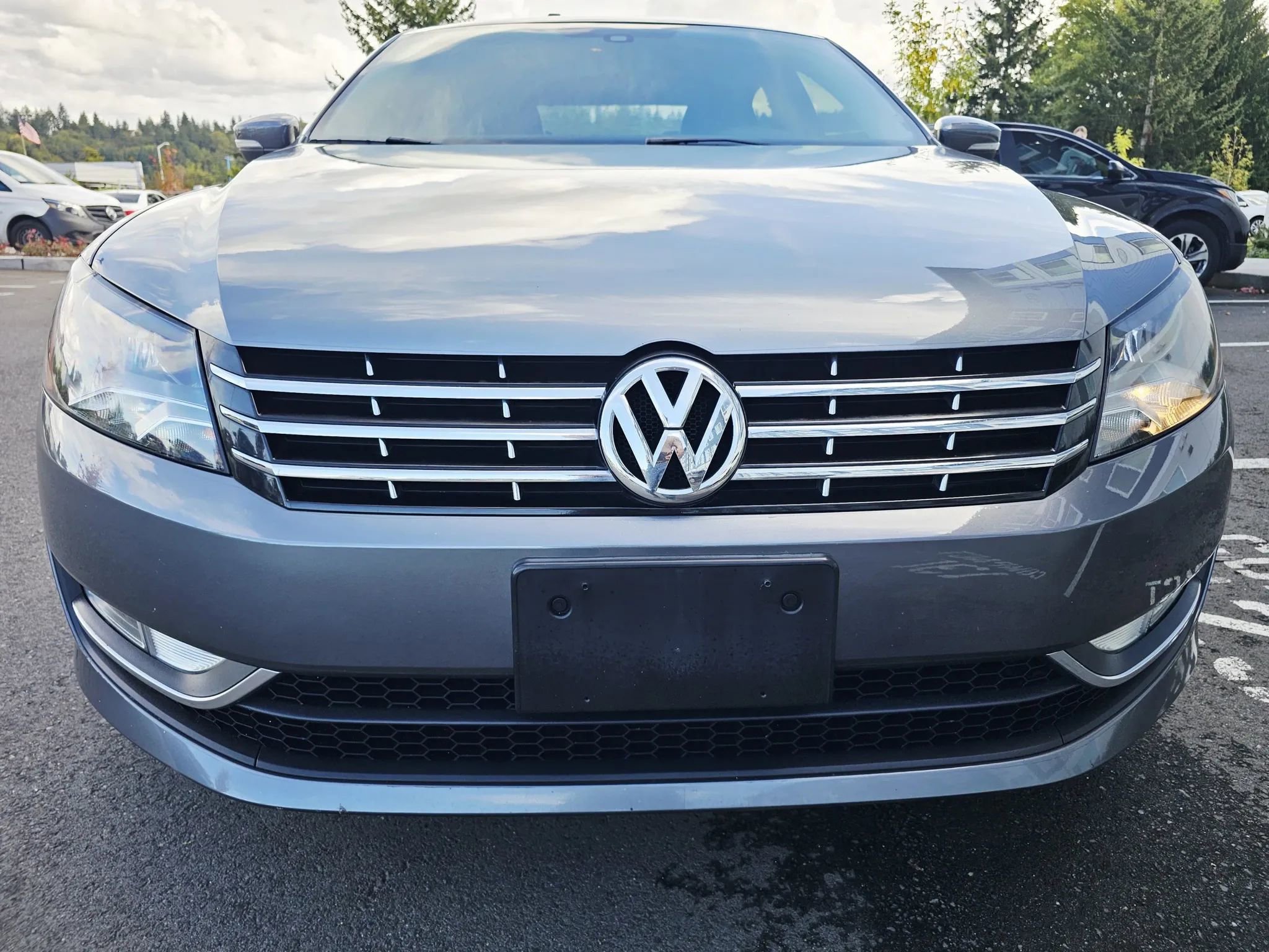 Used 2014 Volkswagen Passat TDI SEL Premium image 8
