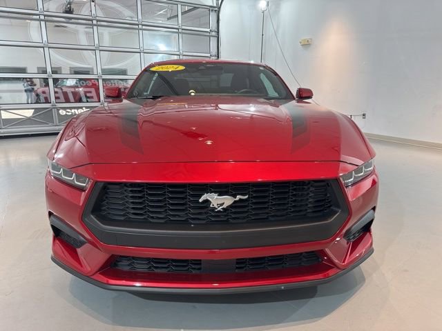Used 2024 Ford Mustang Premium image 3