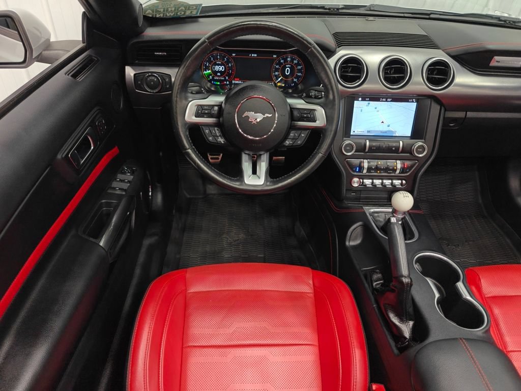 Used 2019 Ford Mustang Premium w/ Equipment Group 201A RWD image 4