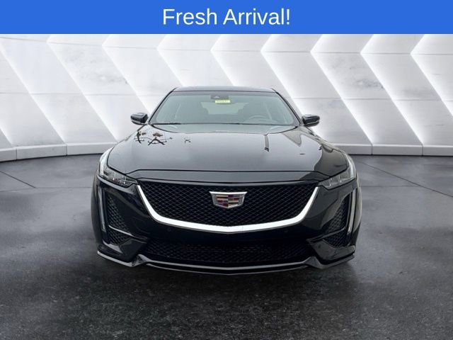 Used 2023 Cadillac CT5 Sport w/ Cold Weather Package image 2