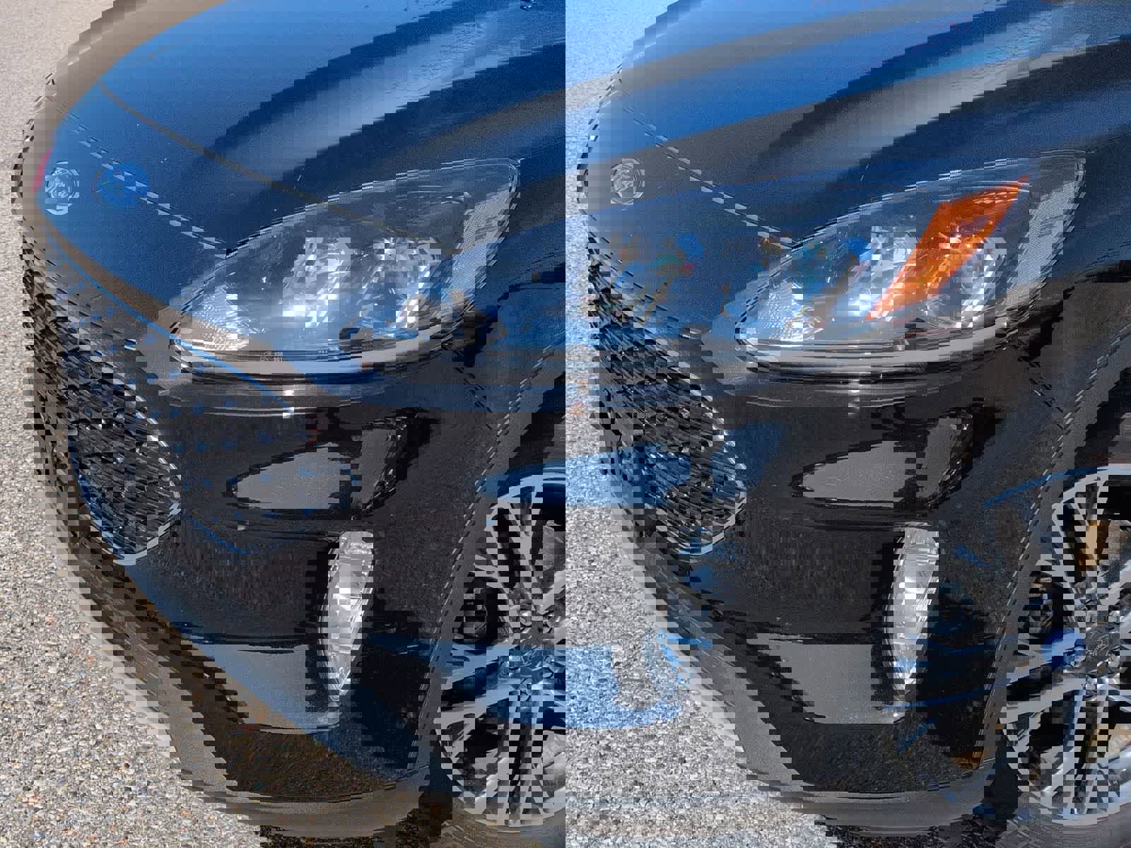 Used 2020 Ford Escape SEL image 11