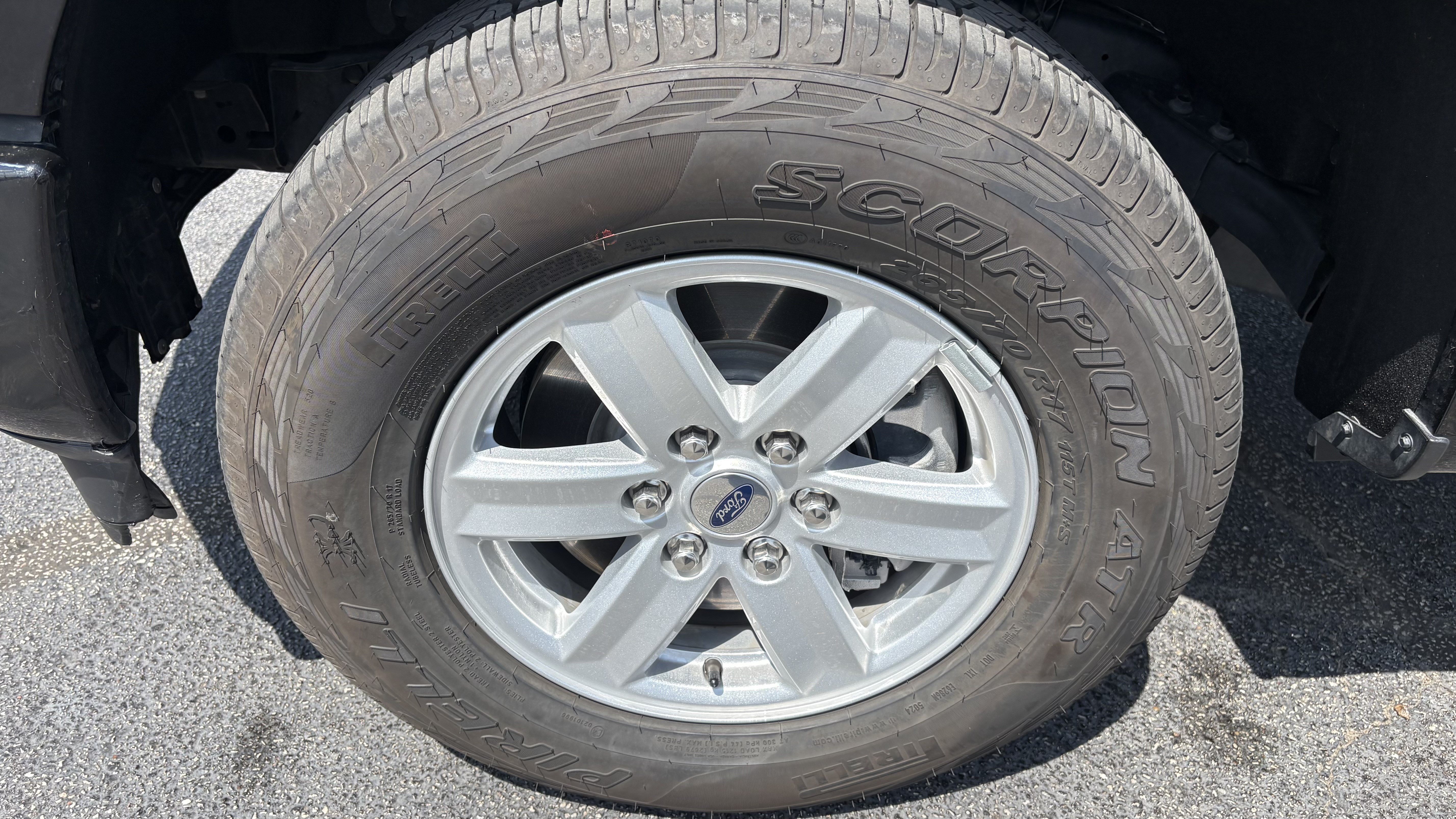 Used 2025 Ford F150 XL w/ Equipment Group 103A High AWD/4WD image 12