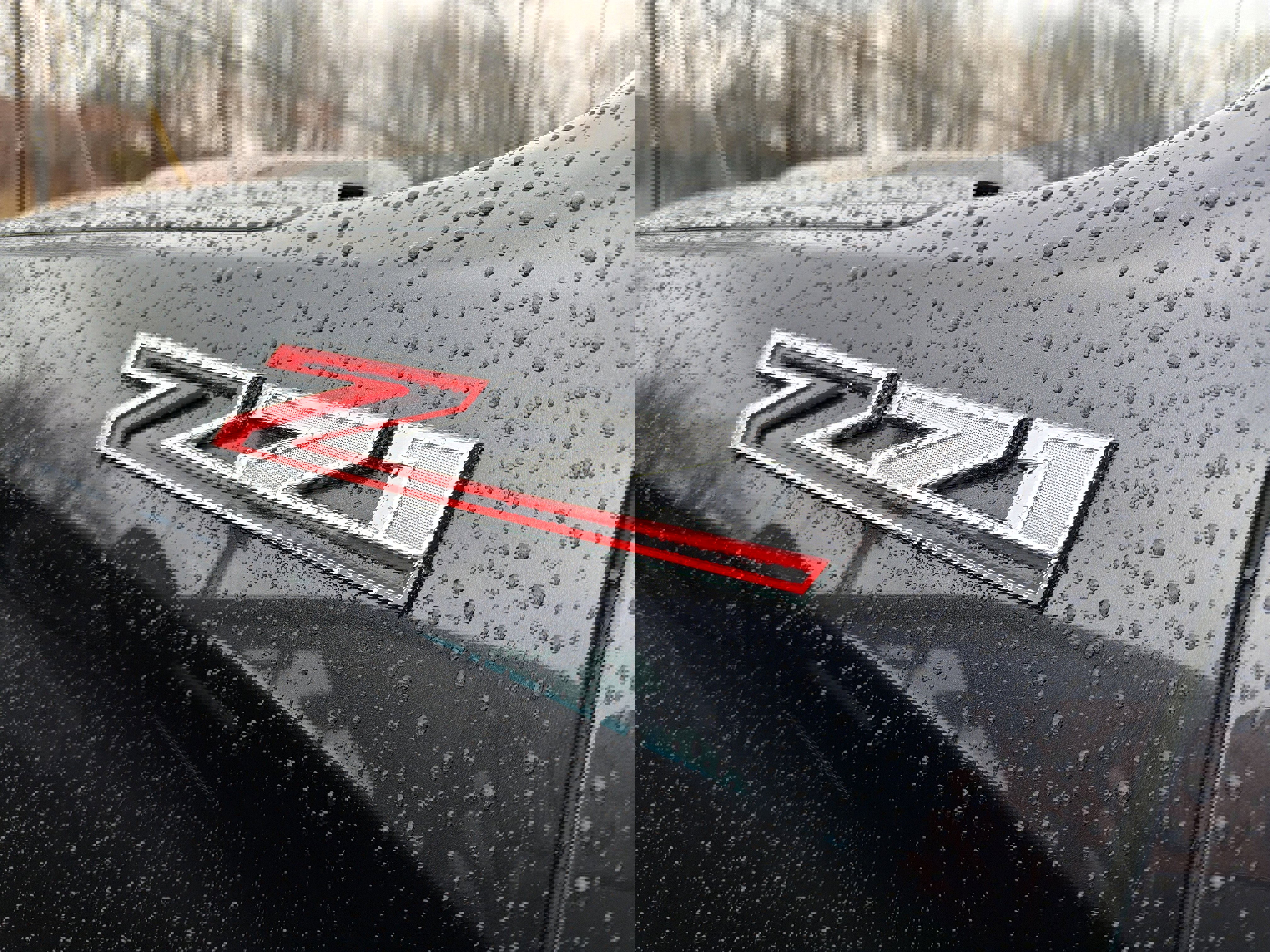 Used 2023 Chevrolet Silverado 1500 LT Trail Boss w/ Protection Package image 9