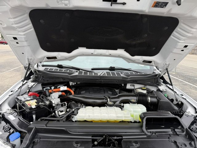Used 2023 Ford F150 XLT w/ Equipment Group 302A High AWD/4WD image 9