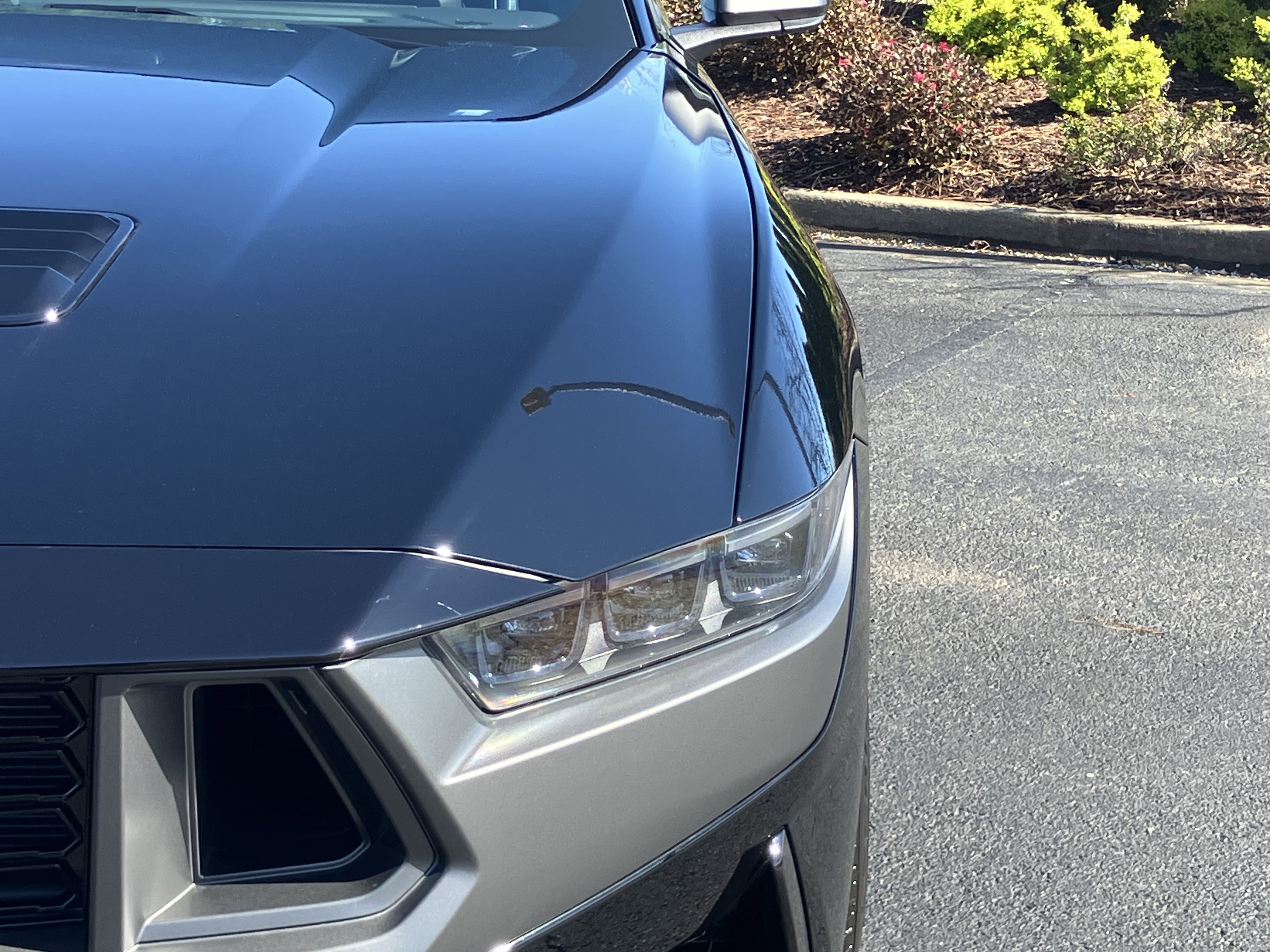 Used 2025 Ford Mustang Dark Horse image 5