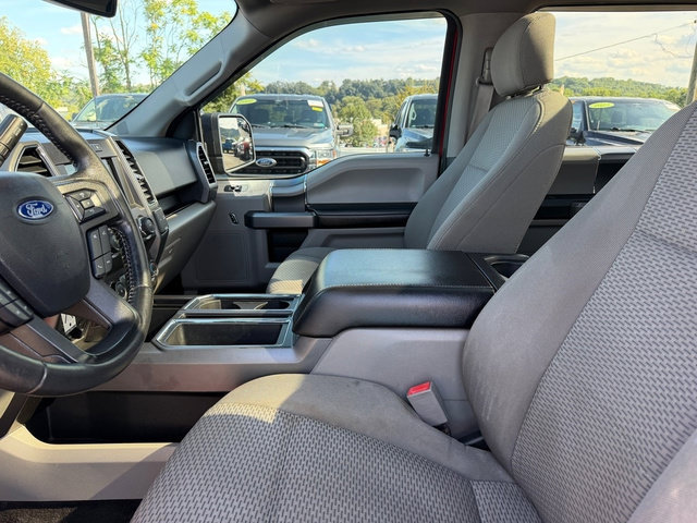 Used 2019 Ford F150 XLT w/ Equipment Group 302A Luxury AWD/4WD image 19