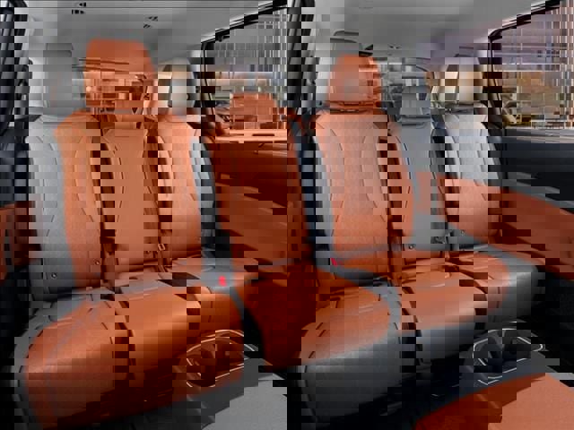 New 2026 Kia Carnival EX image 16