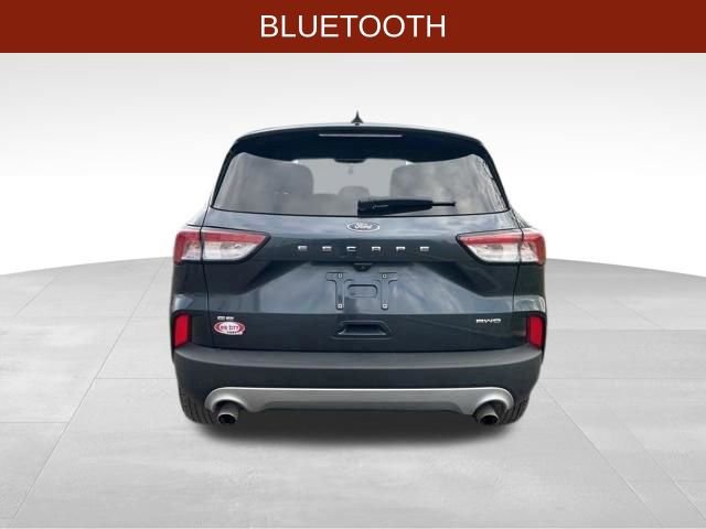 Used 2022 Ford Escape SE w/ Cold Weather Package image 6