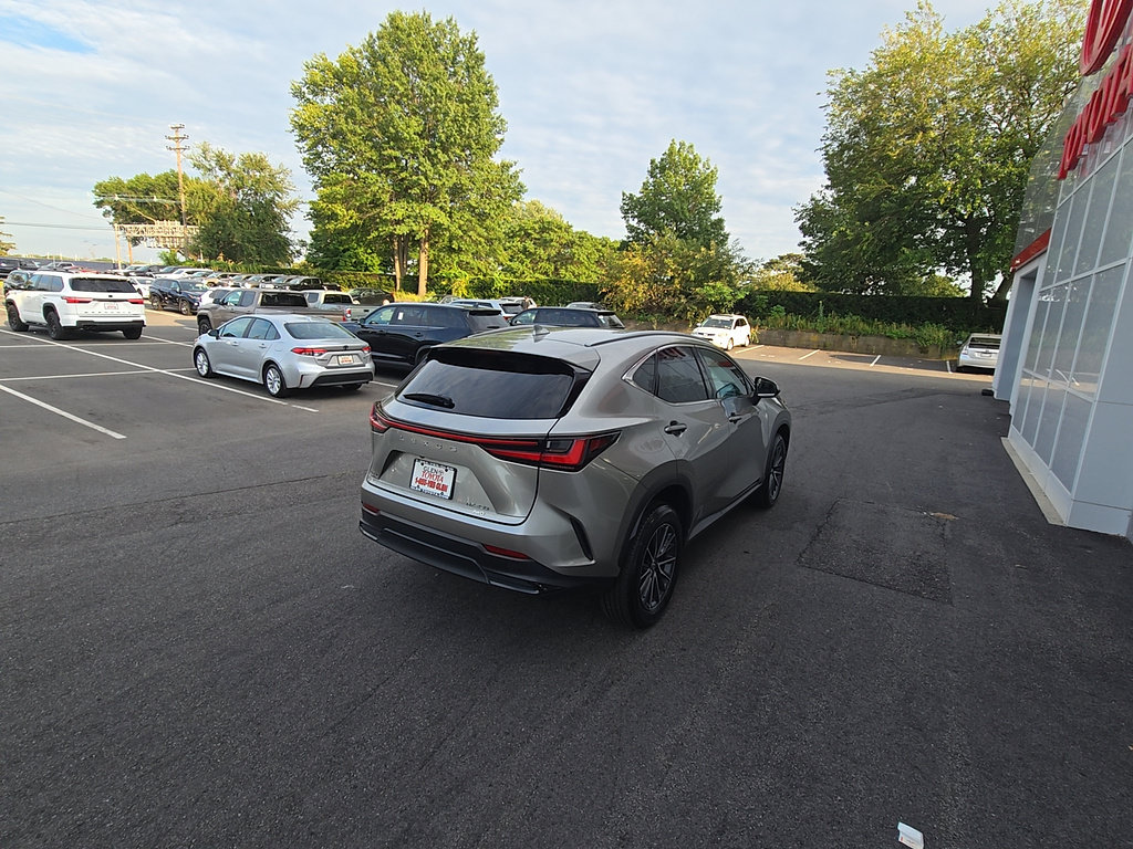 Used 2024 Lexus NX 250 AWD w/ Cold Area Package image 6