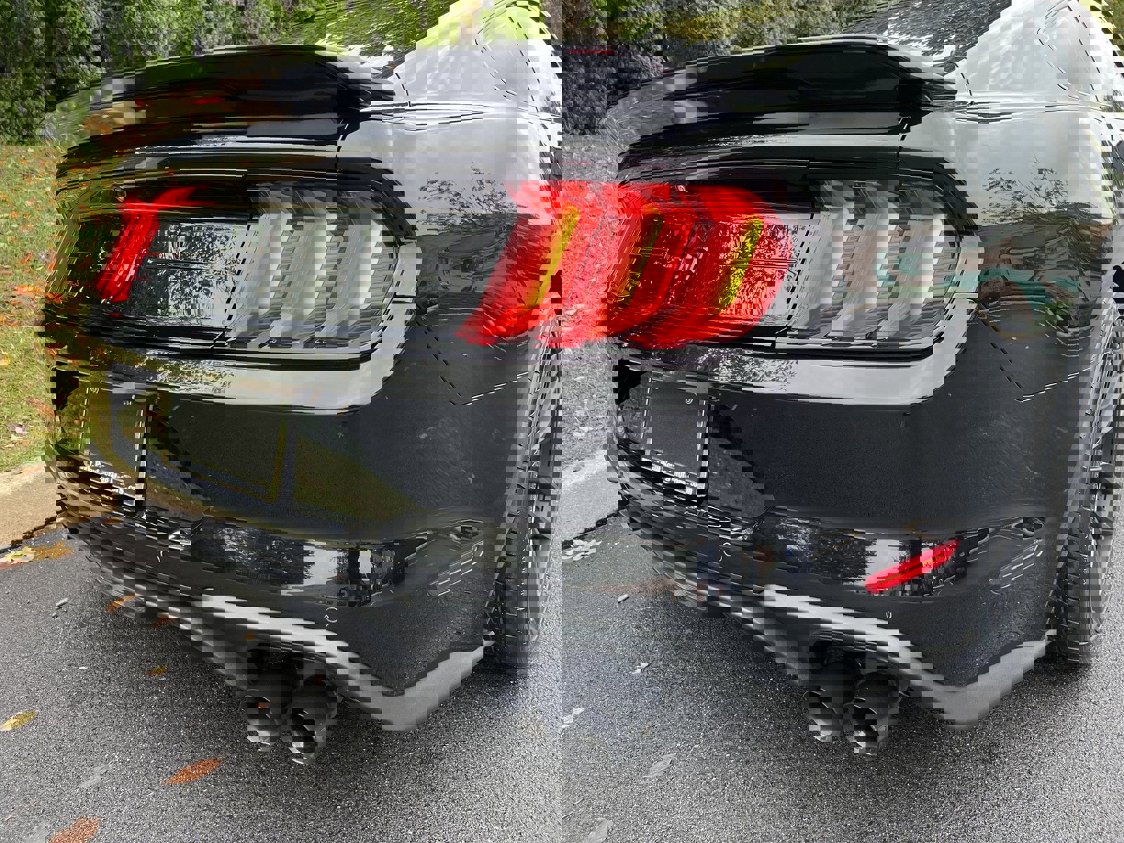 Used 2019 Ford Mustang GT Premium w/ Enhanced Security Package image 56