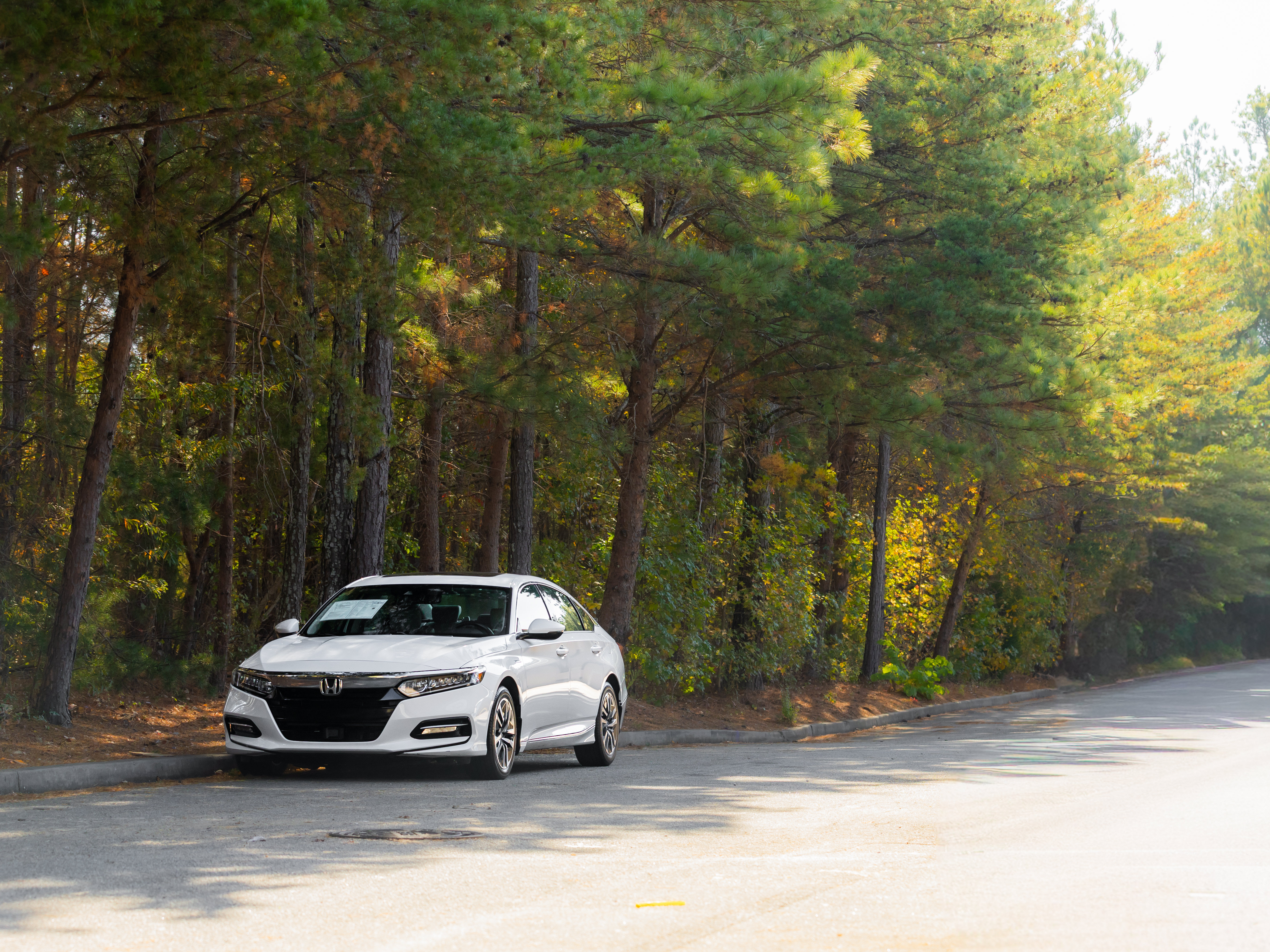 Used 2019 Honda Accord EX-L image 42